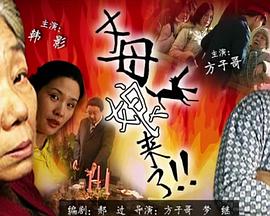 潘金莲新传之锁金梅